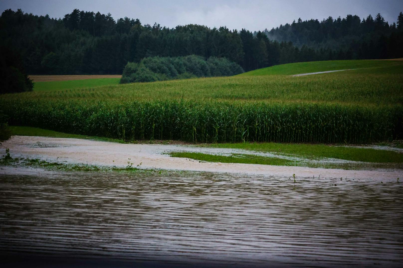 ... oder in Abtenau mit 46 Millimetern. Die Gewitter griffen auch auf das Ausseerland ...