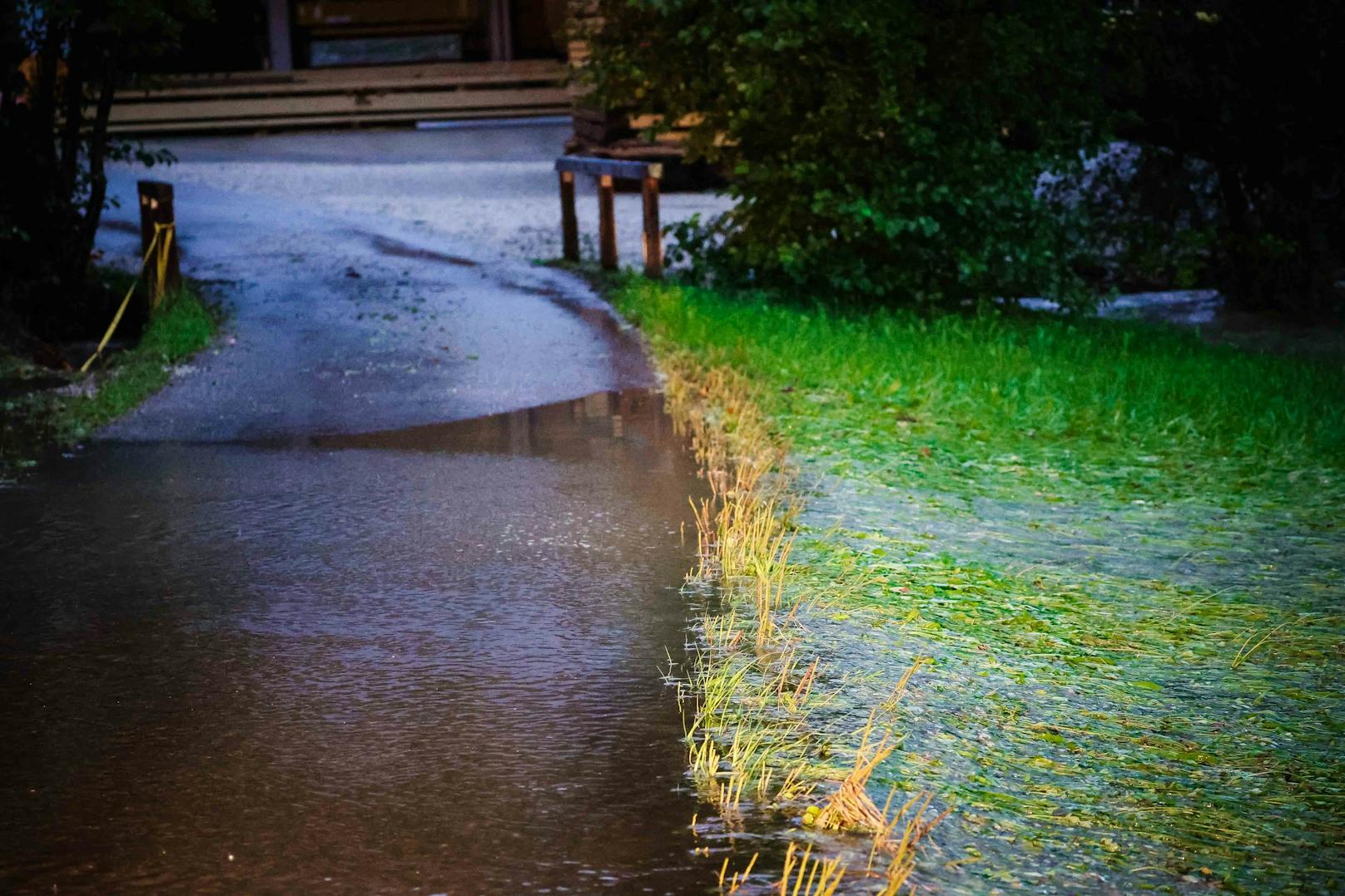 ... Abtenau, 65 in Ebensee und 60 in Achenkirch gemessen.