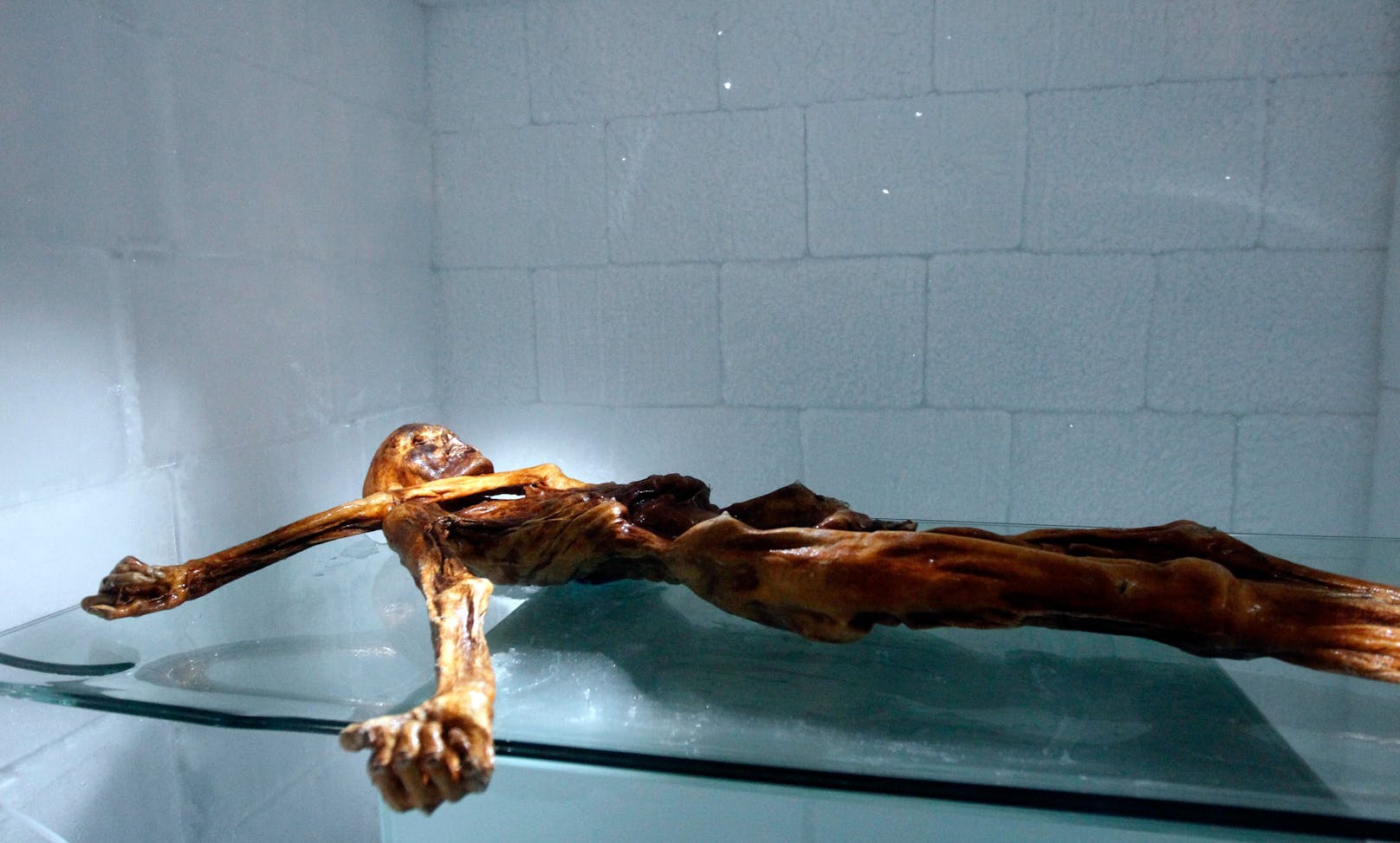 Die Gletscher-Mumie Ötzi soll aus der Türkei kommen.