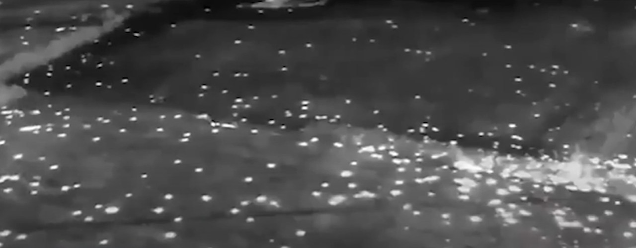 Heute.at - Wärmebildkameras zeigen die tödliche Gefahr