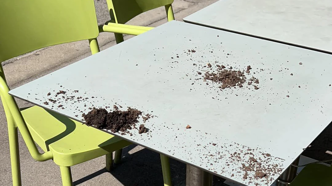 Der mutmaßliche Dieb hinterließ Spuren der Verwüstung im Margaretner Schanigarten.