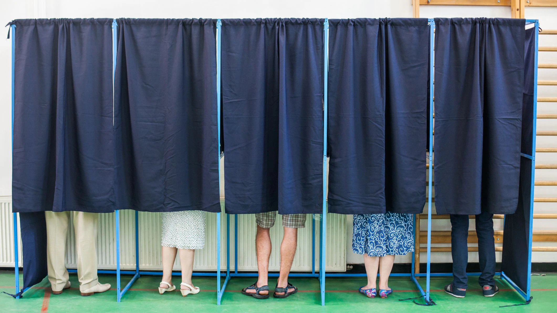 Color image of some people voting in some polling booths at a voting station.