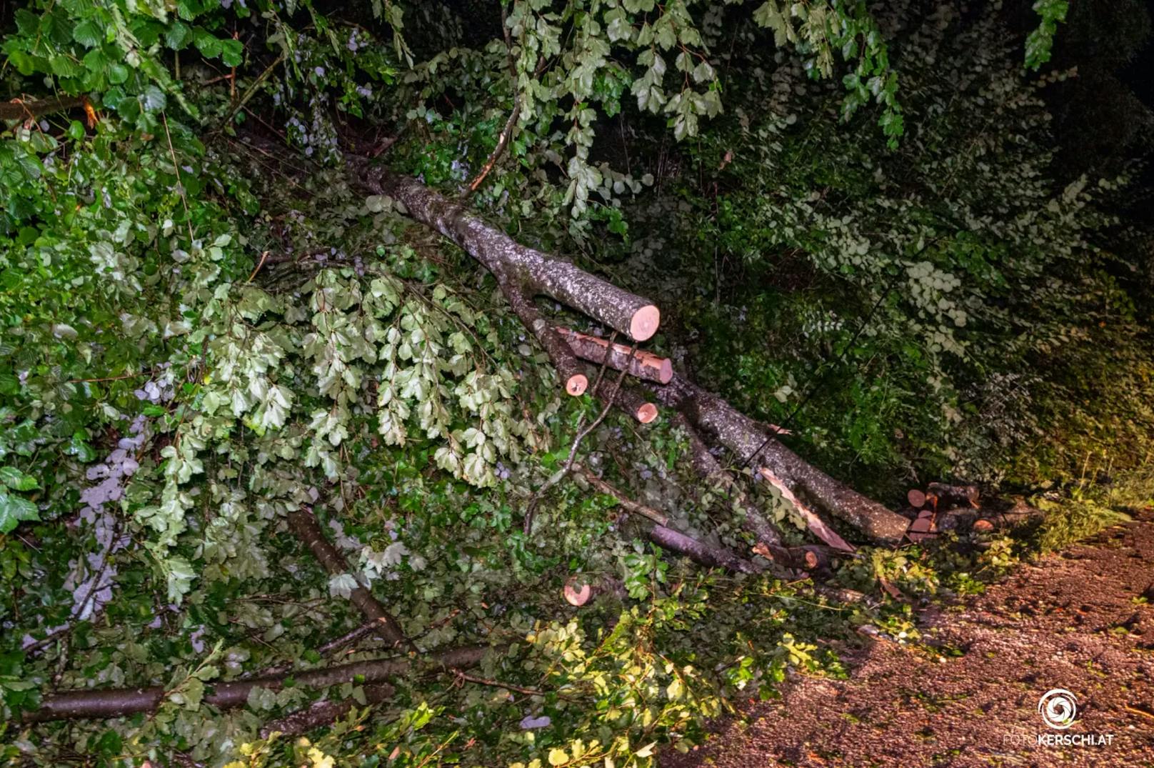 In ganz Oberösterreich kam es am Dienstag zu teils heftigen Gewittern mit schwerem Niederschlag und starken Sturmböen. Die Feuerwehren standen im Dauereinsatz.