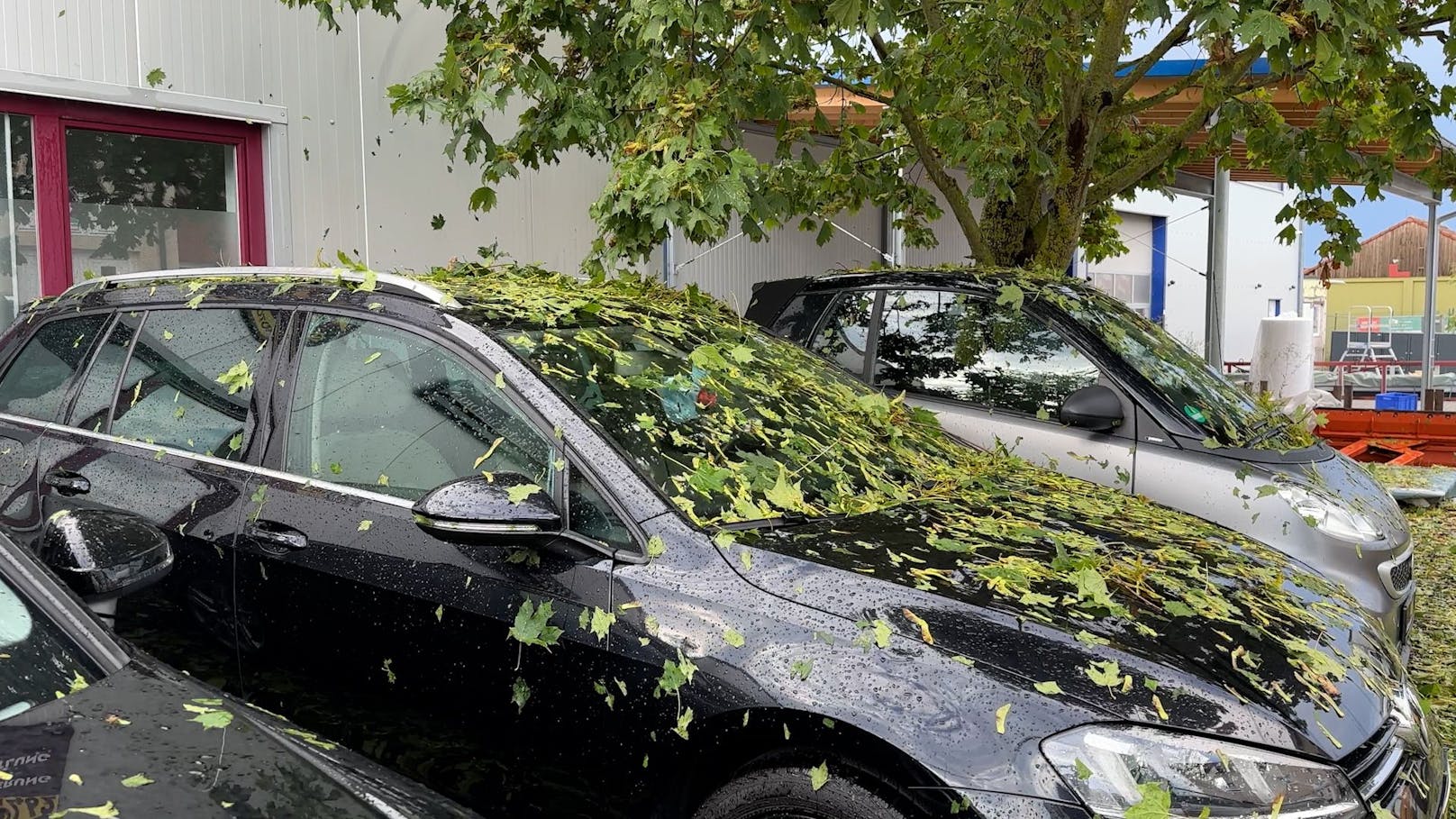 Hagelkörner so groß wie Tennisbälle (teils bis 8 cm im Durchmesser) haben nahe Stuttgart hunderte Gebäude beschädigt, wohl tausende Autos verbeult und Scheiben zerschlagen. Dachziegel, Dachfenster und Gewächshäuser wurden durchlöchert.