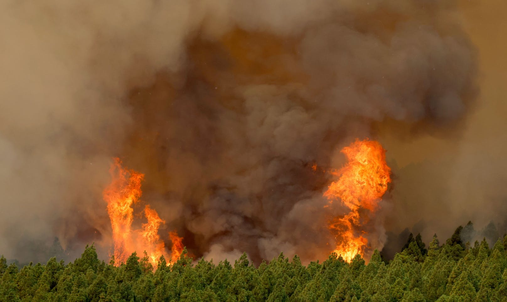 Am Dienstag ist dort ein riesiger Waldbrand ausgebrochen.