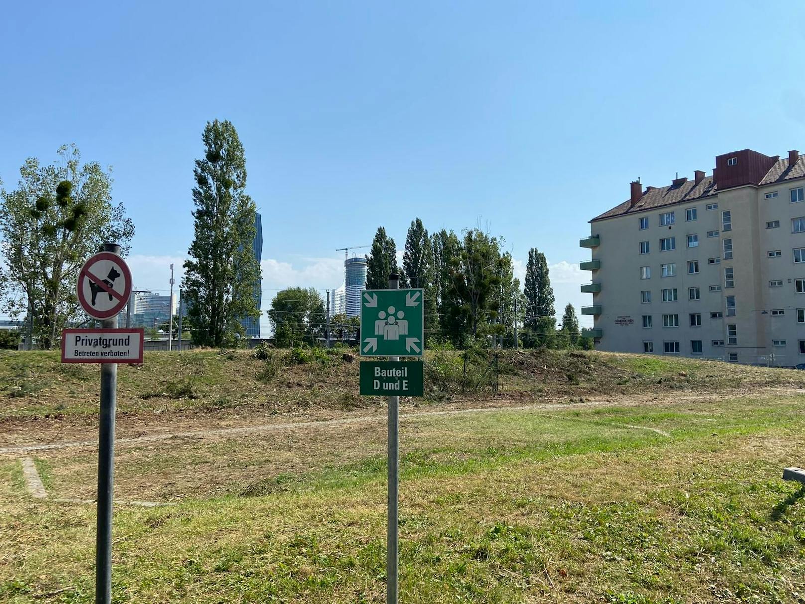 Anrainer empört: Bäume für Garage in Wien gerodet
