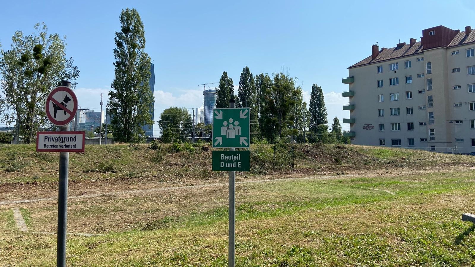 Schon am 14. August wurden die Bäume gefällt. Das Gelände bei der PVA ist inzwischen eingezäunt