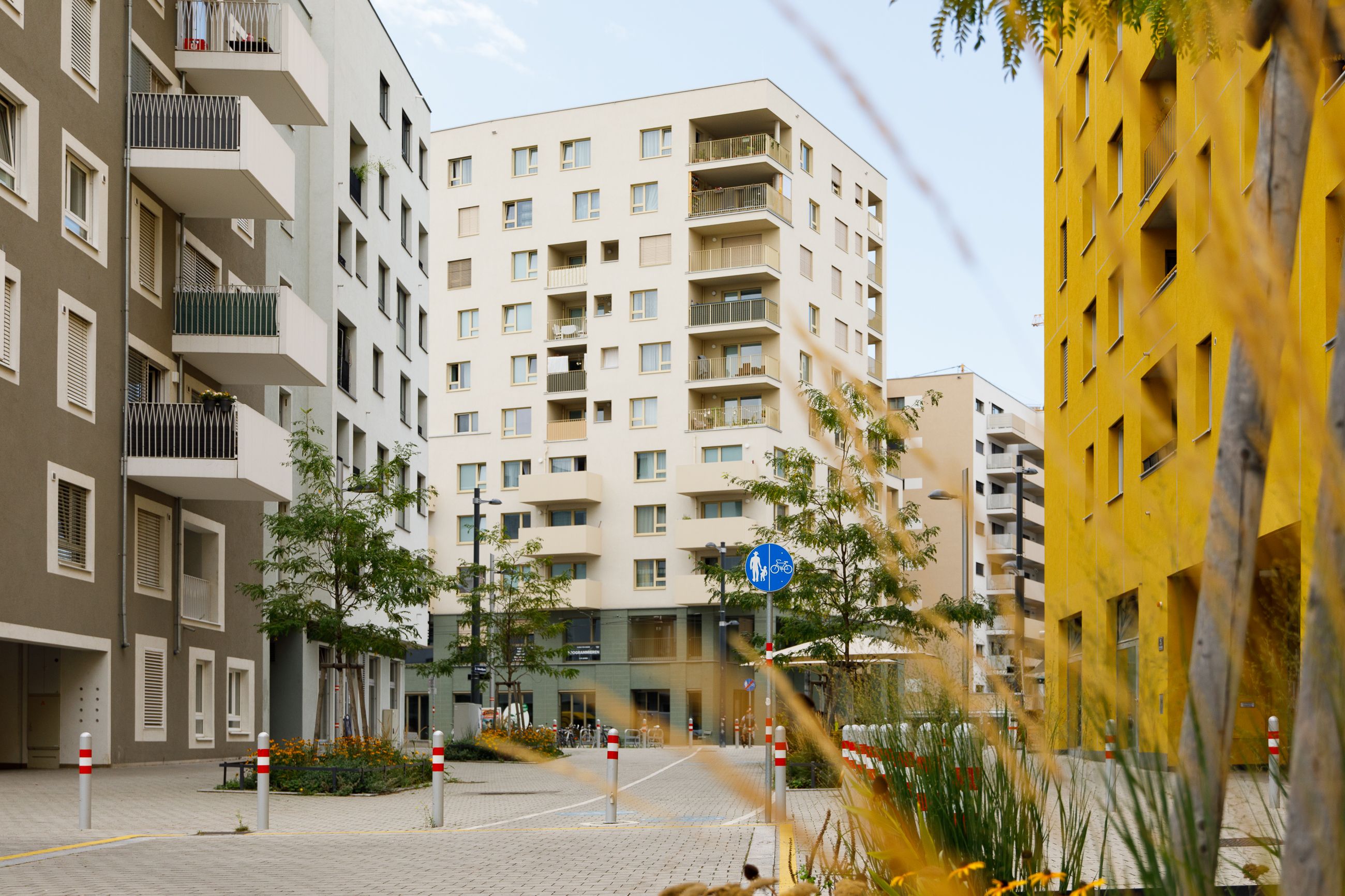 Die neue Anlage wird im Herbst in Betrieb genommen. Nächsten Sommer soll die Kältezentrale 1.000 Haushalte versorgen.