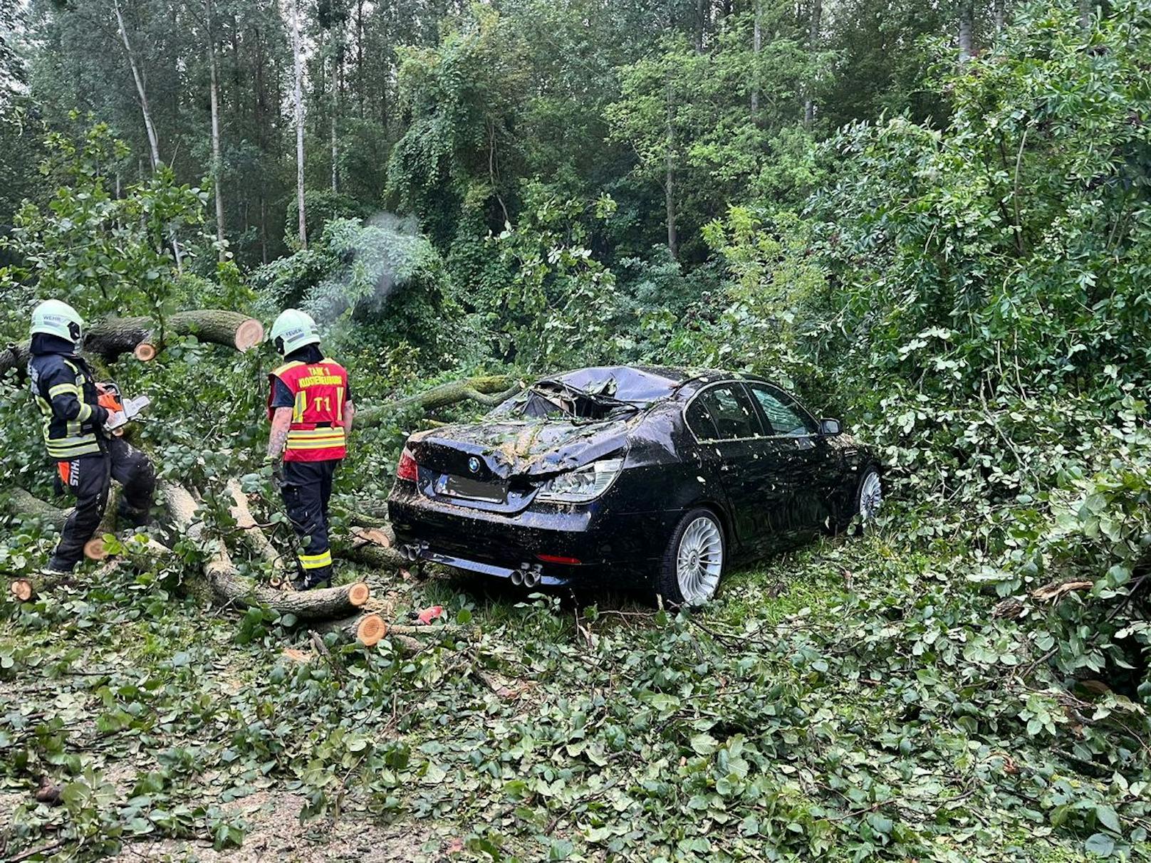 Unwetter in Klosterneuburg: Pkw von Baum getroffen