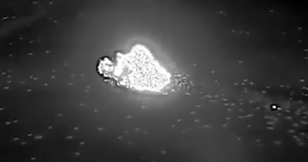 Heute.at - Wärmebildkameras – jeder weiße Punkt ist tödlich