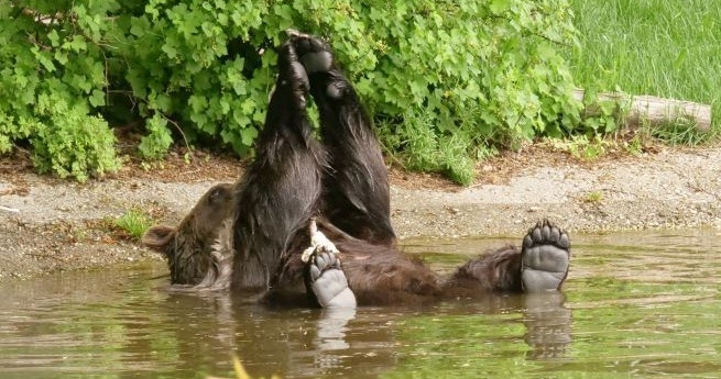 Diese Bild wurde uns mit dem Titel: "Erich, out of control" geschickt. 