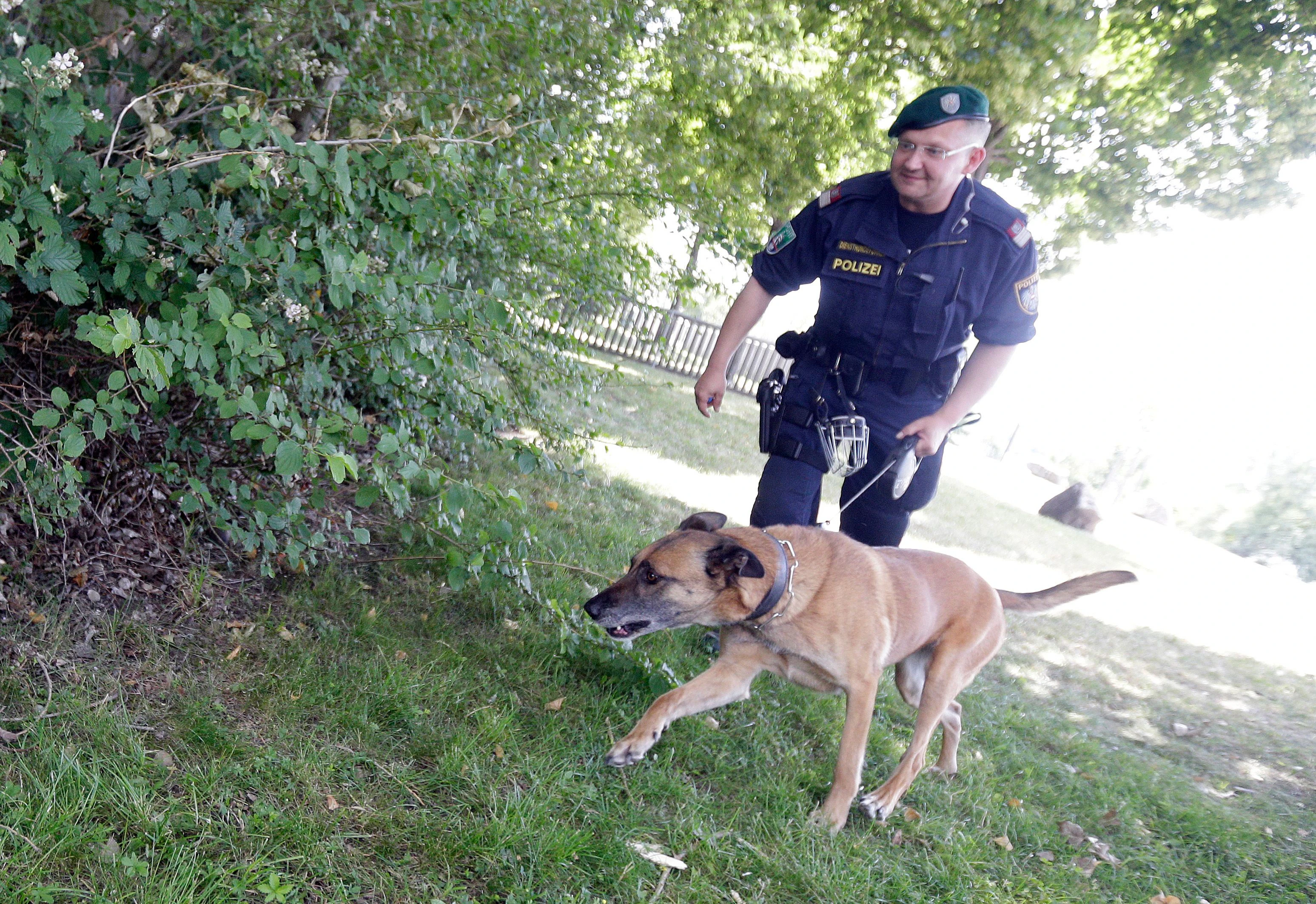 Auch ein Fährtenspürhund wurde für die Fahndung nach dem vermissten Mädchen angefordert. Symbolbild.