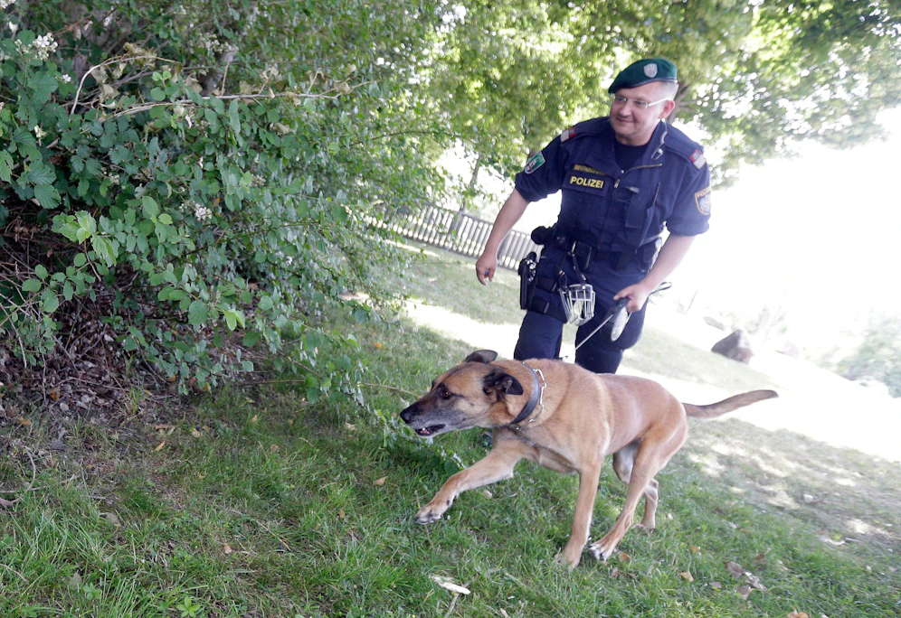 Auch ein Fährtenspürhund wurde für die Fahndung nach dem vermissten Mädchen angefordert. Symbolbild.