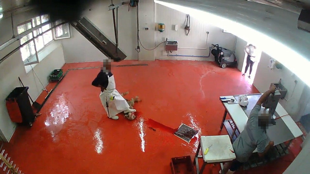 Amtliche Kontrollorgane (wie hier in grau zu sehen) vernachlässigten offenbar ihre Kontrollpflichten und waren während der Übertretungen nicht im Bild zu sehen.