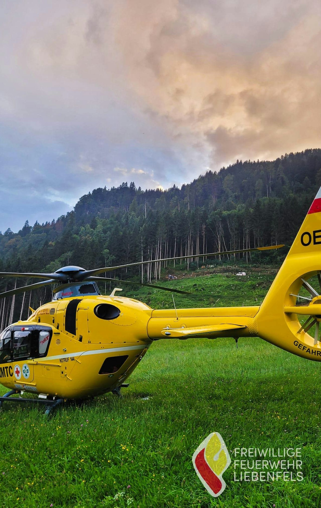 Heute.at - 24-Jähriger in laufende Motorsäge gestoßen – schwer verletzt