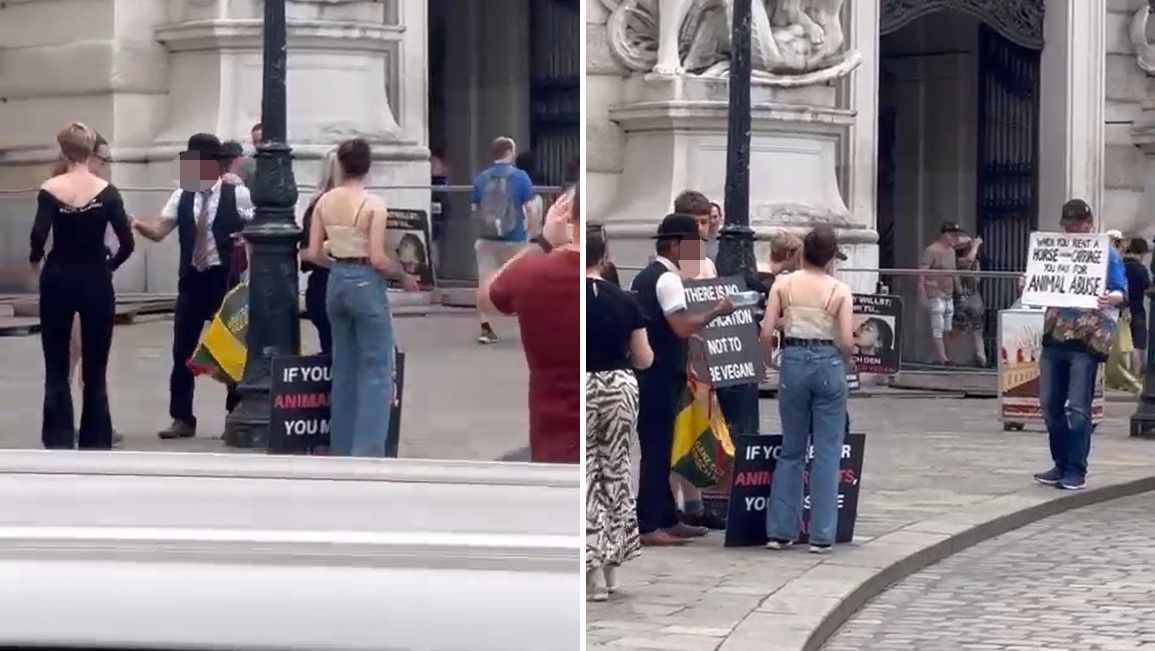 Veganer attackieren Fiaker-Fahrer, dieser reagiert cool