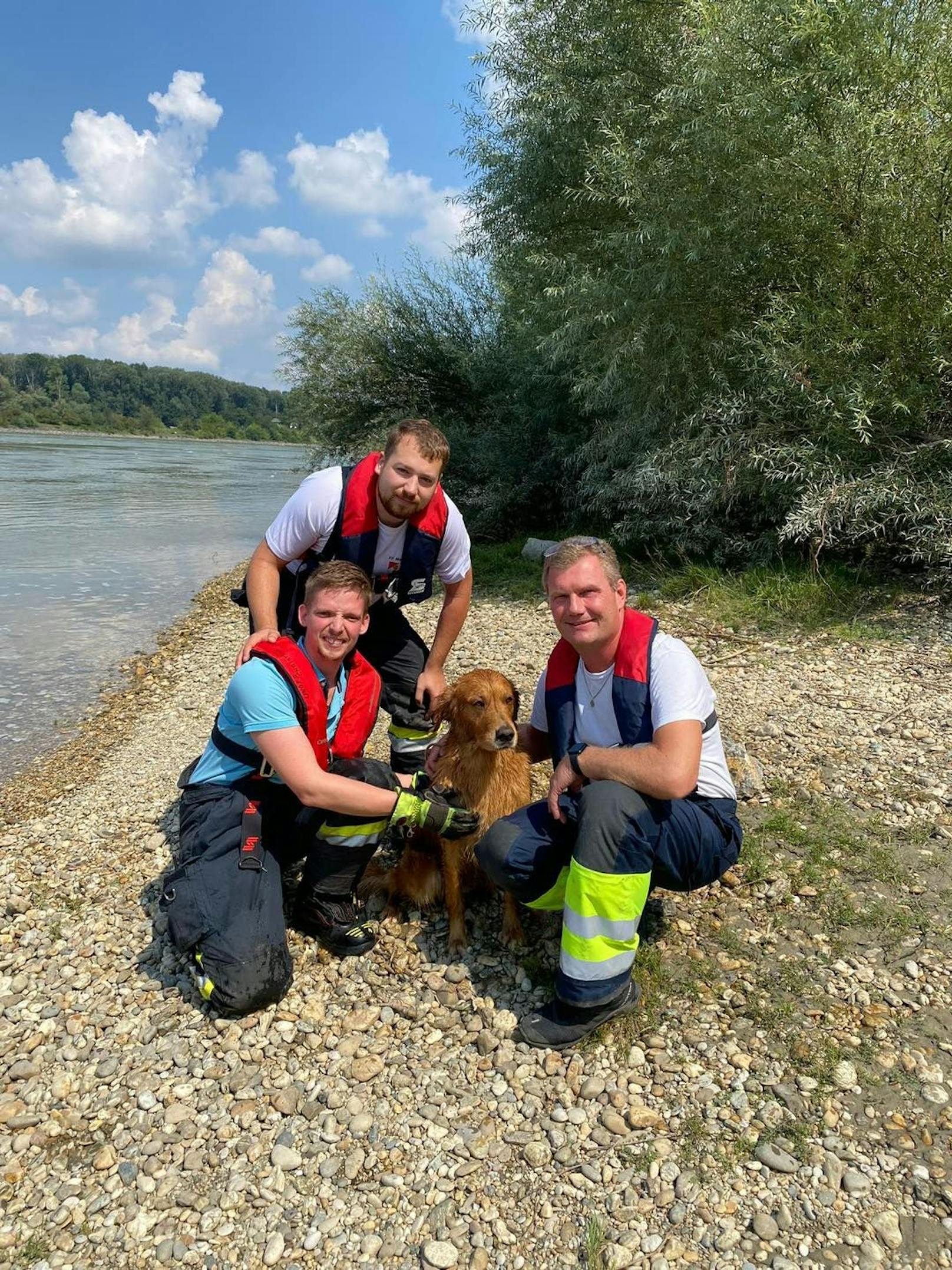 Tierischer Einsatz: Die Feuerwehr rettete den Hund aus der Donau.