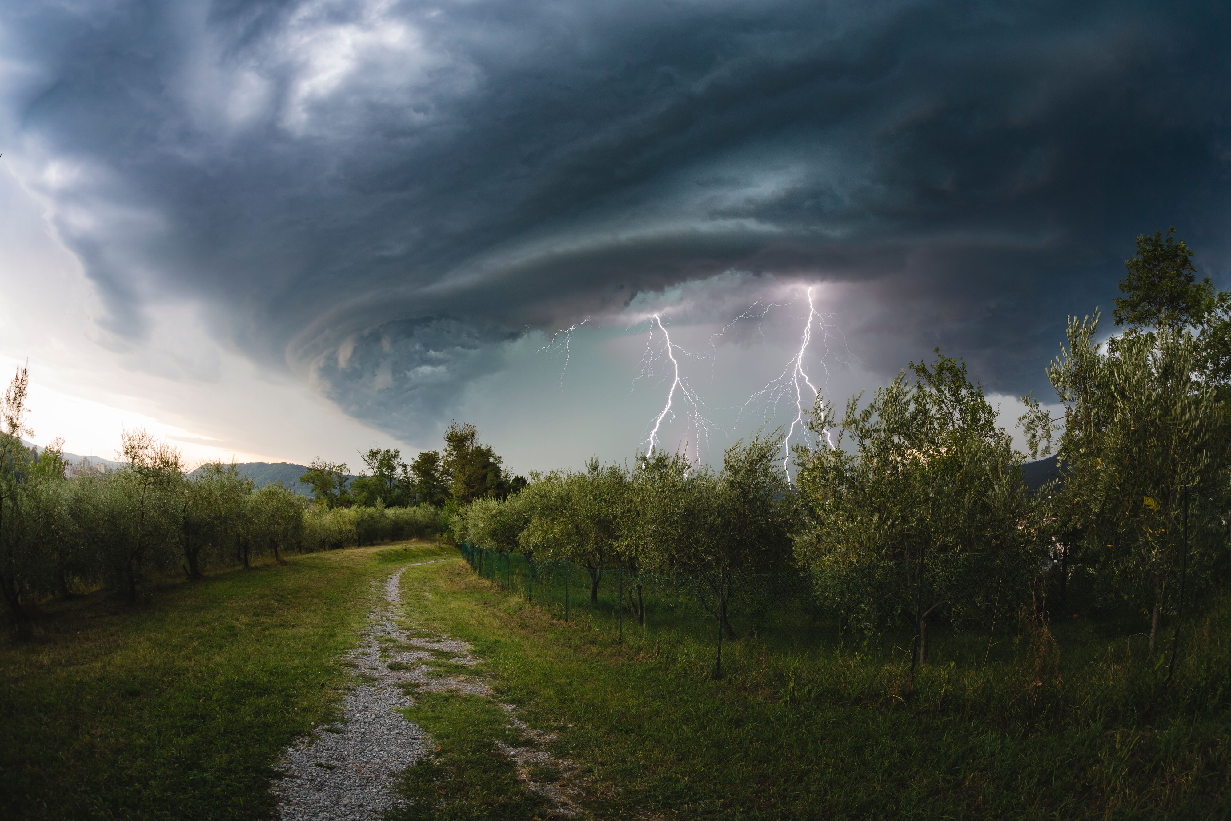 Österreich muss sich am Donnerstag auf Gewitter einstellen.