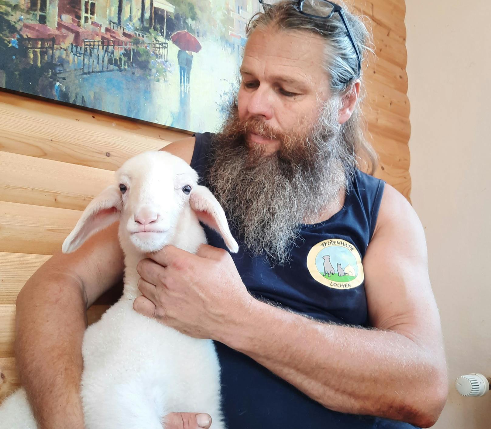 Am späten Donnerstagabend wurde der Tierschutzhof Pfotenhilfe in der Grenzregion Salzburg/Oberösterreich vom Salzburger Tiertransportinspektor zu Hilfe gerufen.