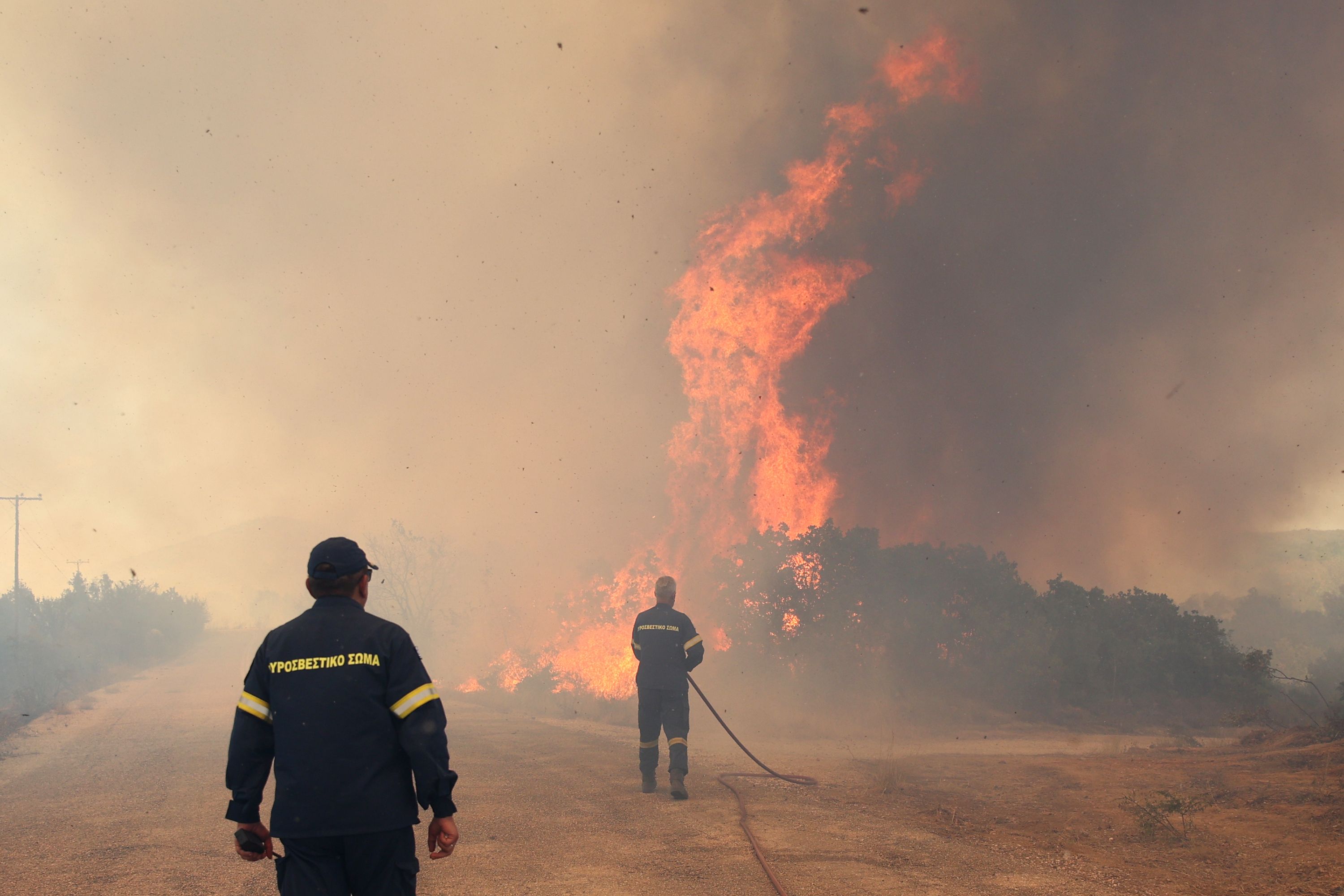Bei Alexandroupoli im Nordosten Griechenlands kämpft die Feuerwehr seit vier Tagen gegen große Waldbrände an.