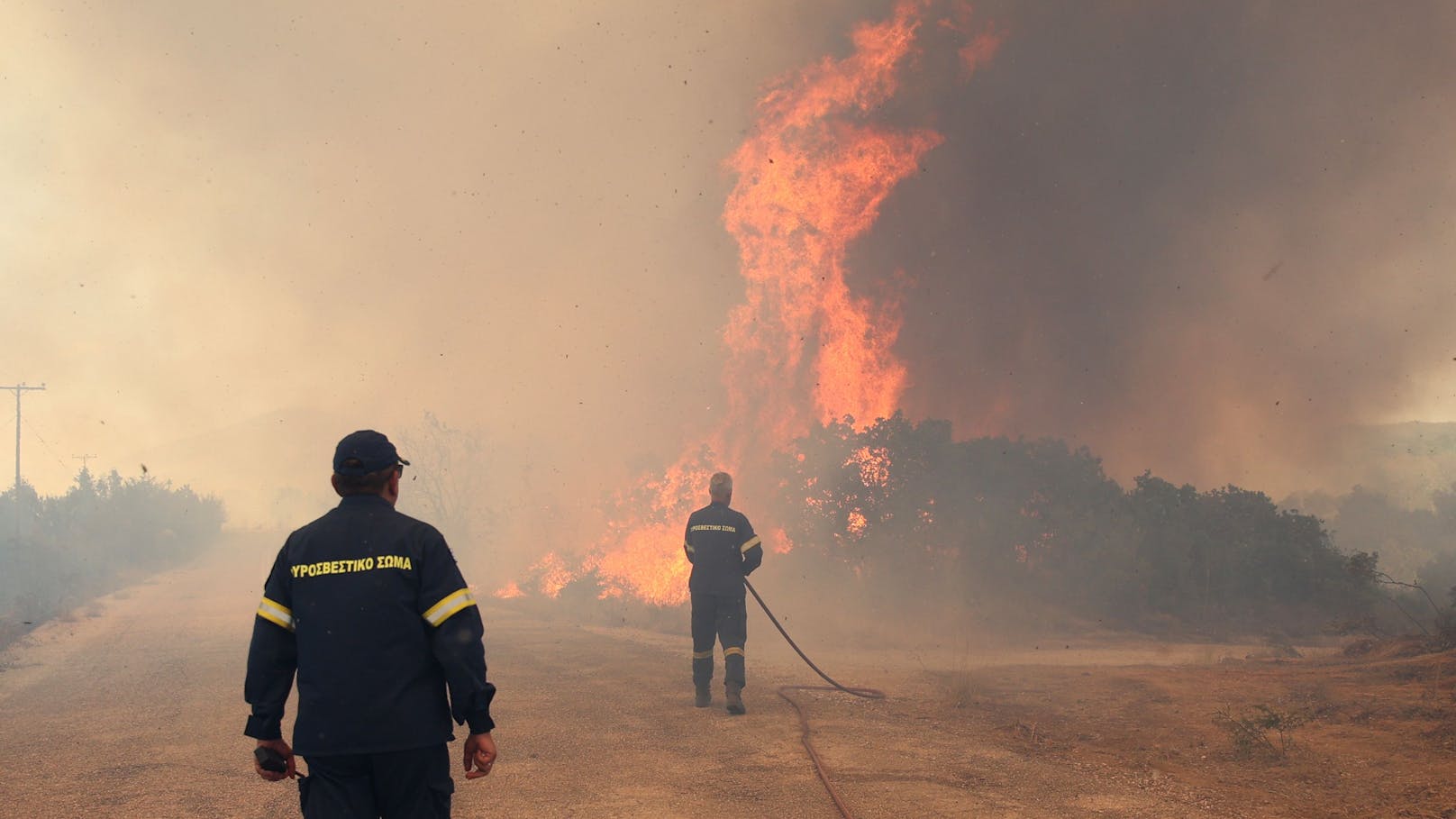 Waldbrandsaison war 2023 eine der schlimmsten in der EU