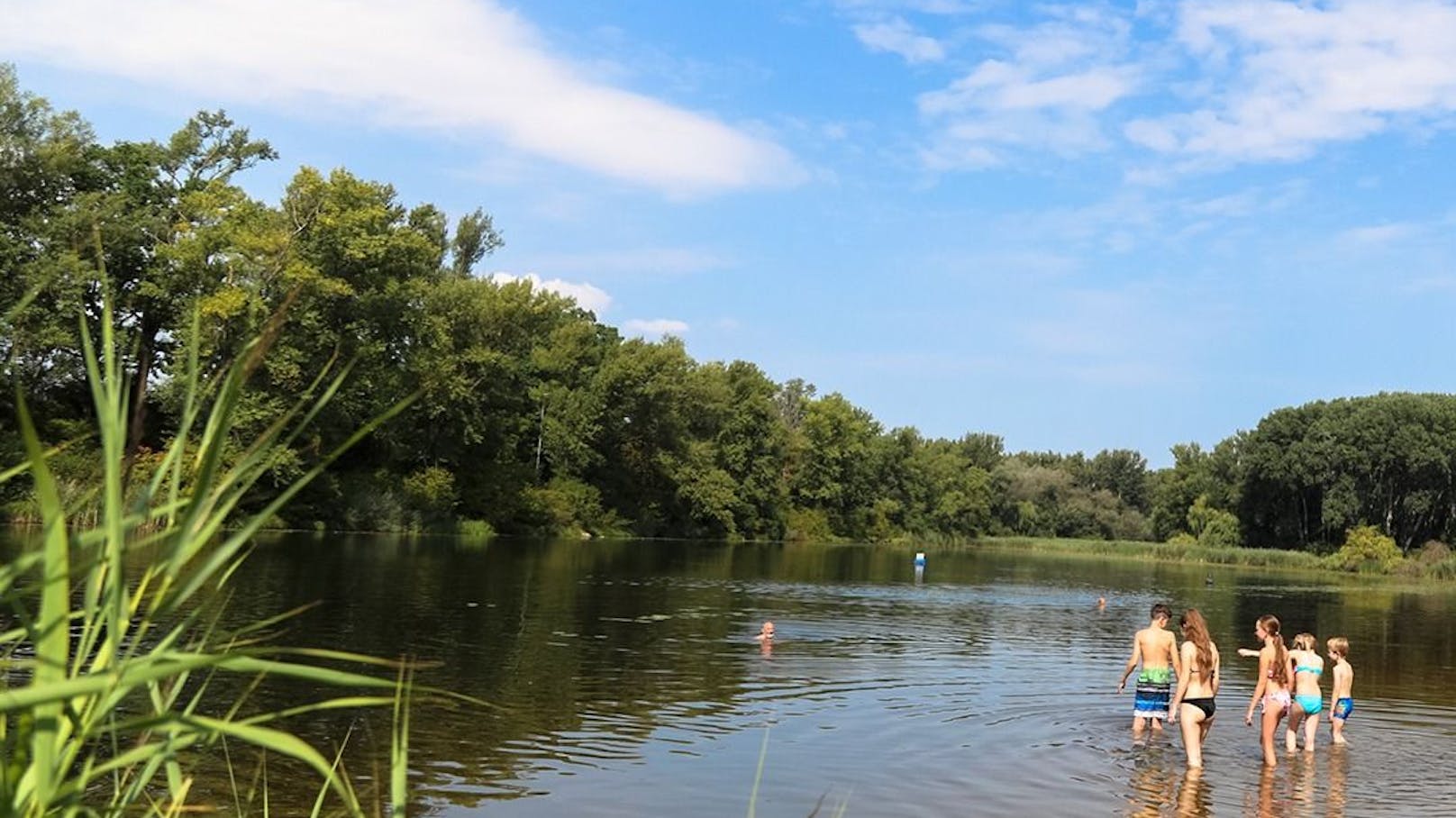 Baden völlig gratis in der Lobau