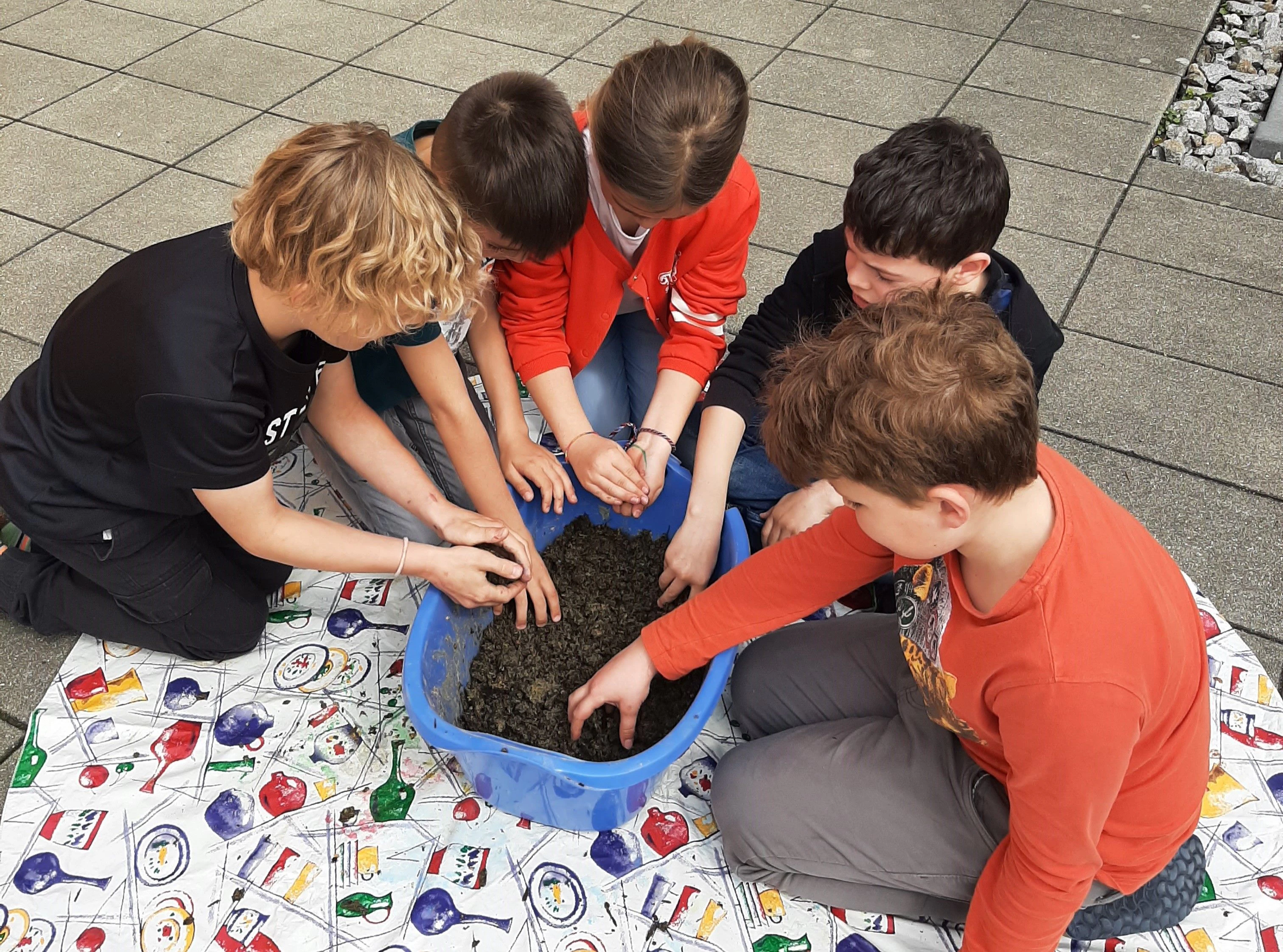 Samenbälle-Projekt in der Volksschule in Geinberg