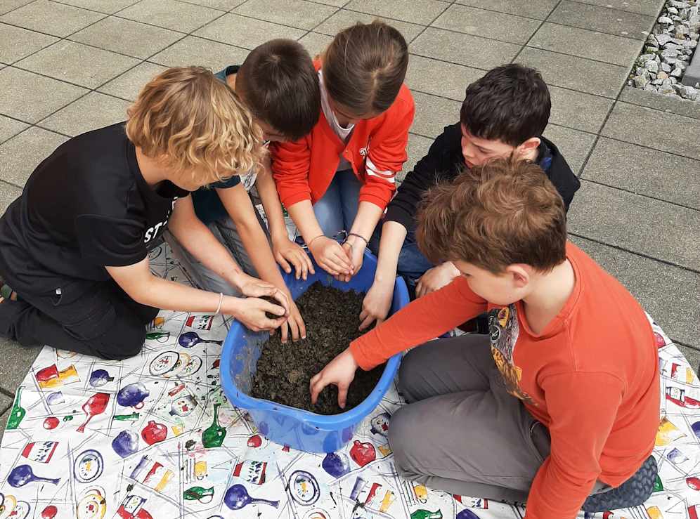 Samenbälle-Projekt in der Volksschule in Geinberg