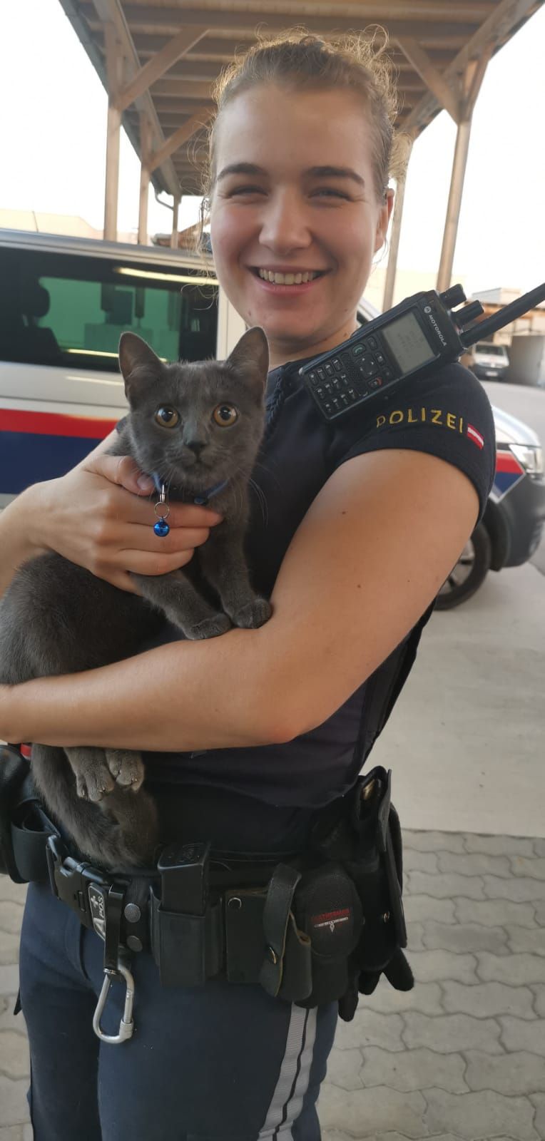 Polizistin rettete die ausgesetzte Katze in Wien.