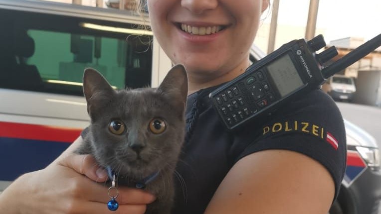 Polizistin rettete die ausgesetzte Katze in Wien.