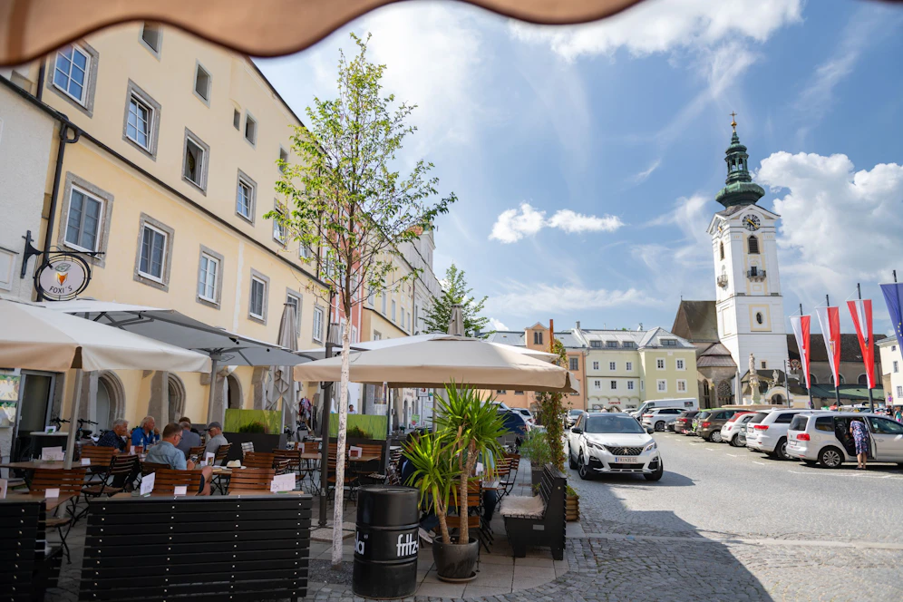 Hopfenbuchen am Freistädter Hauptplatz