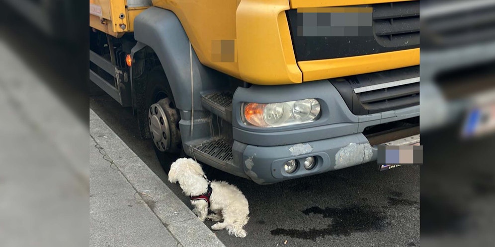 Ein Wiener sorgt sich um Hund im 10. Bezirk.