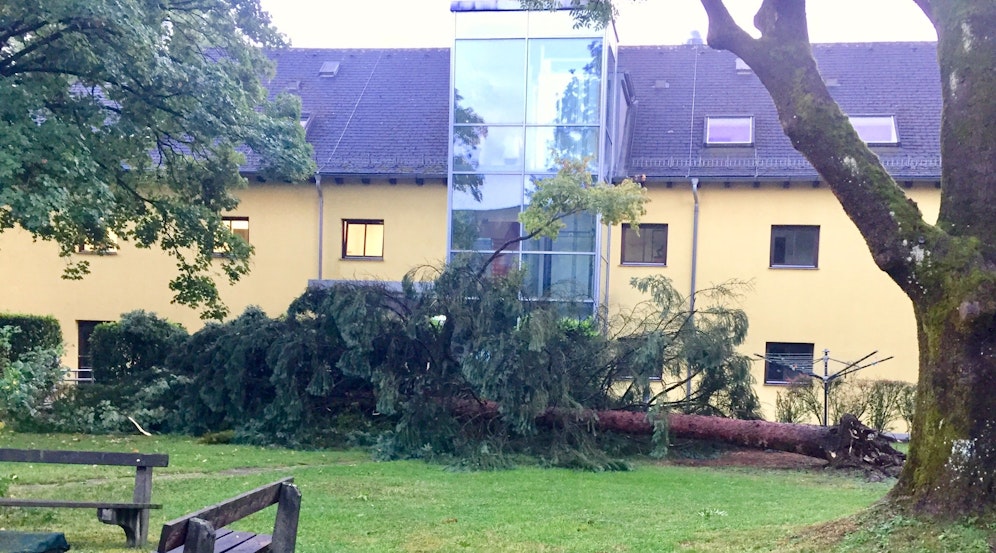 In Oberösterreich zog ein Unwetter am frühen Freitag eine Spur der Verwüstung.