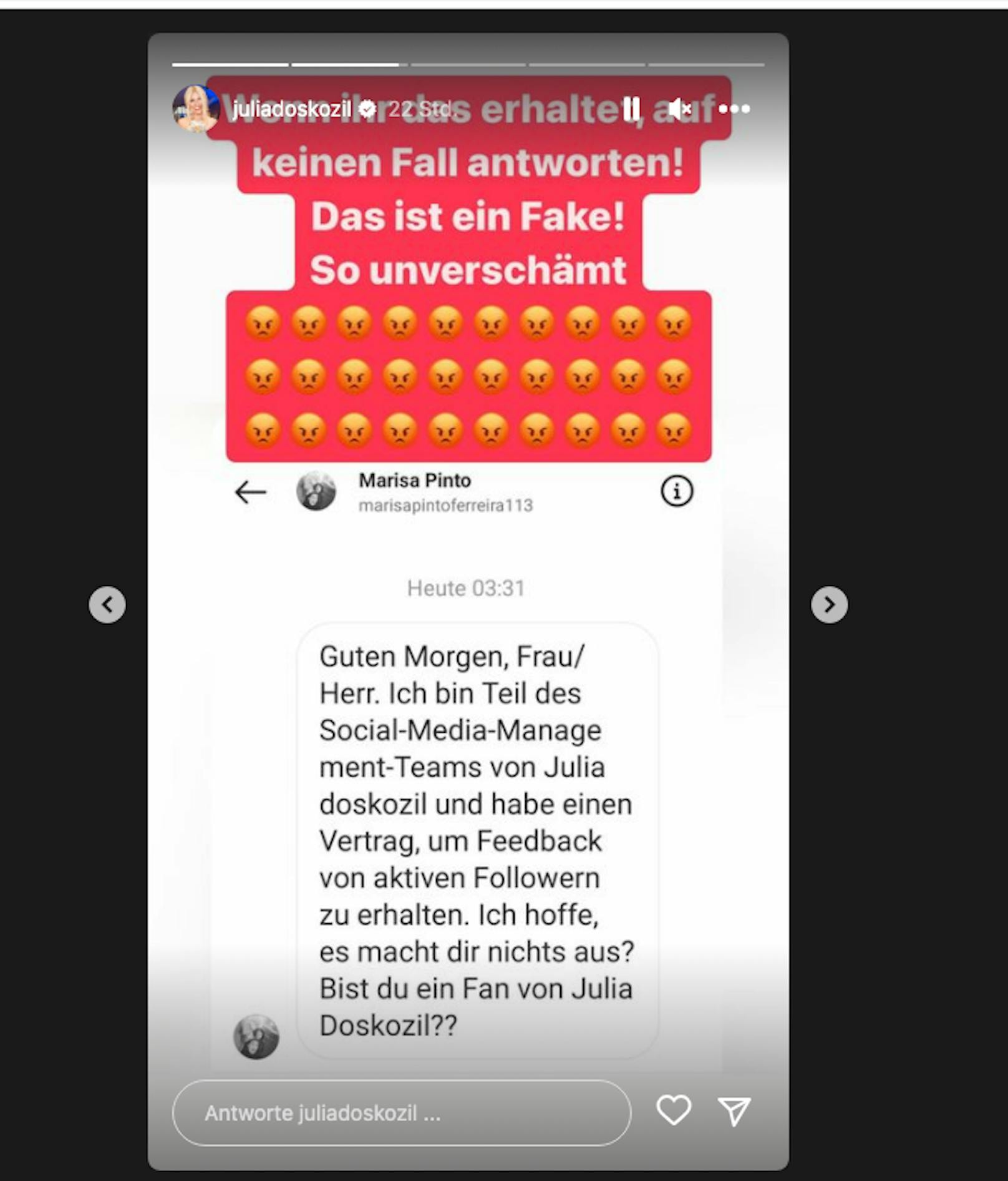 Auf Instagram warnt Julia Doskozil ihre Follower vor dem Fake-Account.