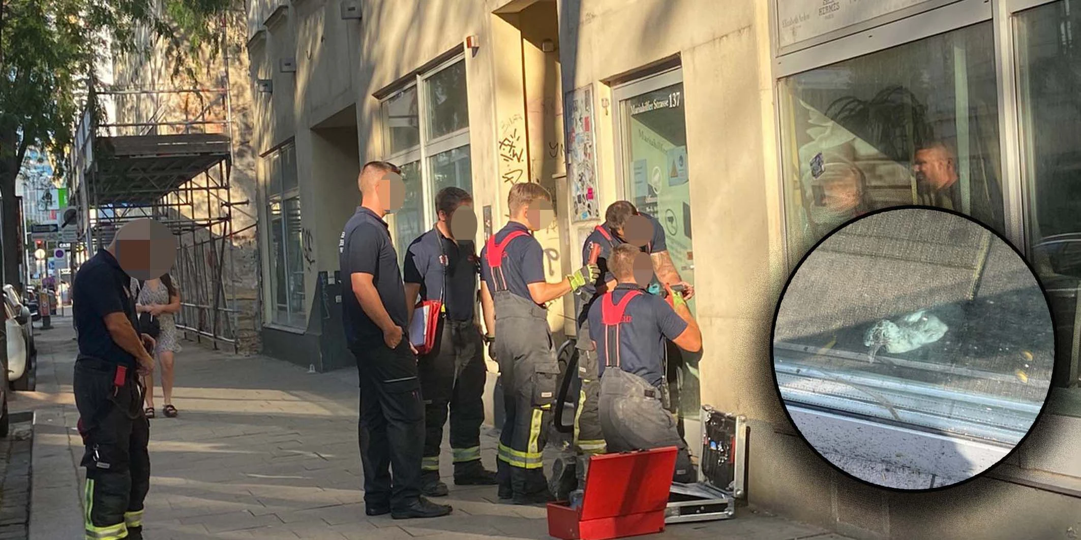 Vogel eingesperrt Maria hilfer Feuerwehr