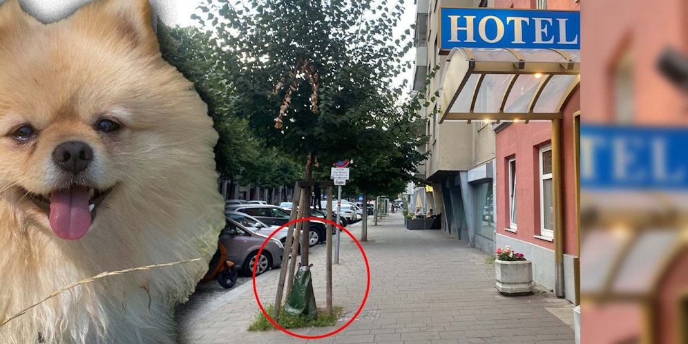 Jener Baum in der Landstraßer Hauptstraße darf nicht angepinkelt werden, ist die Mitarbeiterin überzeugt.