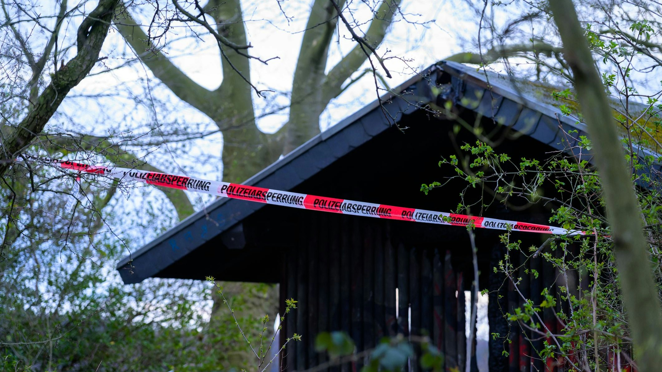 Königswinter, Germany - March 23, 2023: Charred wooden hut in a forest park area is cordoned off by red and white barrier tape with writing 'Polizeiabsperrung', meaning Police cordon printed on it.