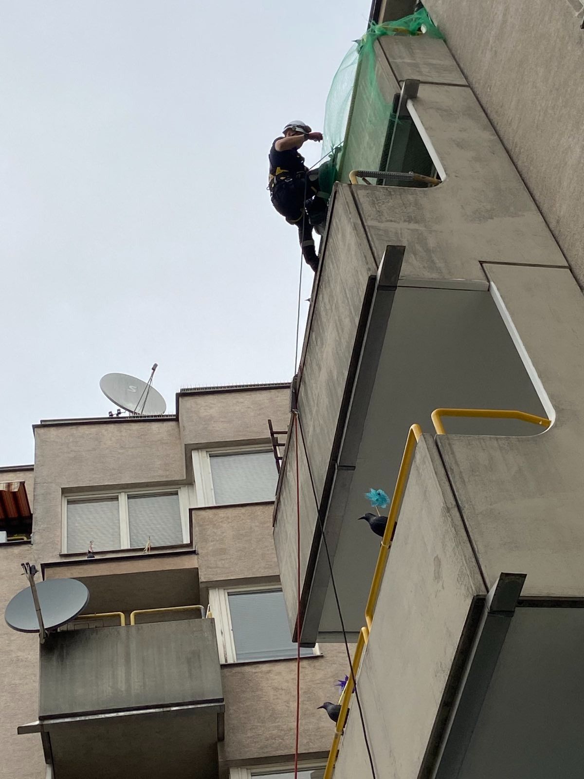 Am Sonntag musste die Wiener Berufsfeuerwehr zu einem tierischen Einsatz ausrücken.
