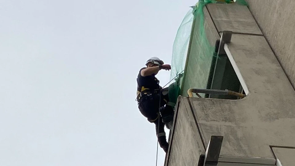 Am Sonntag musste die Wiener Berufsfeuerwehr zu einem tierischen Einsatz ausrücken.