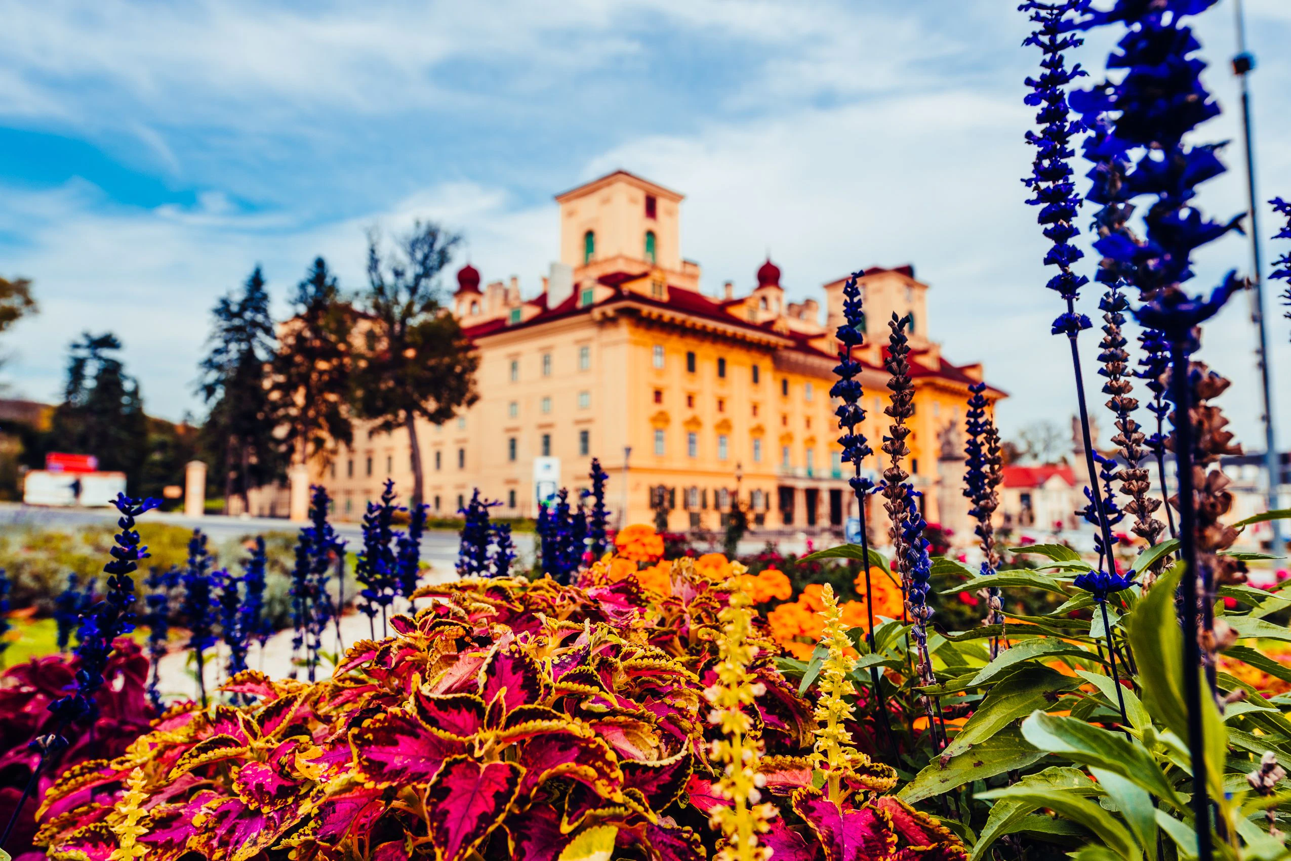Schloss Esterházy im Herbst