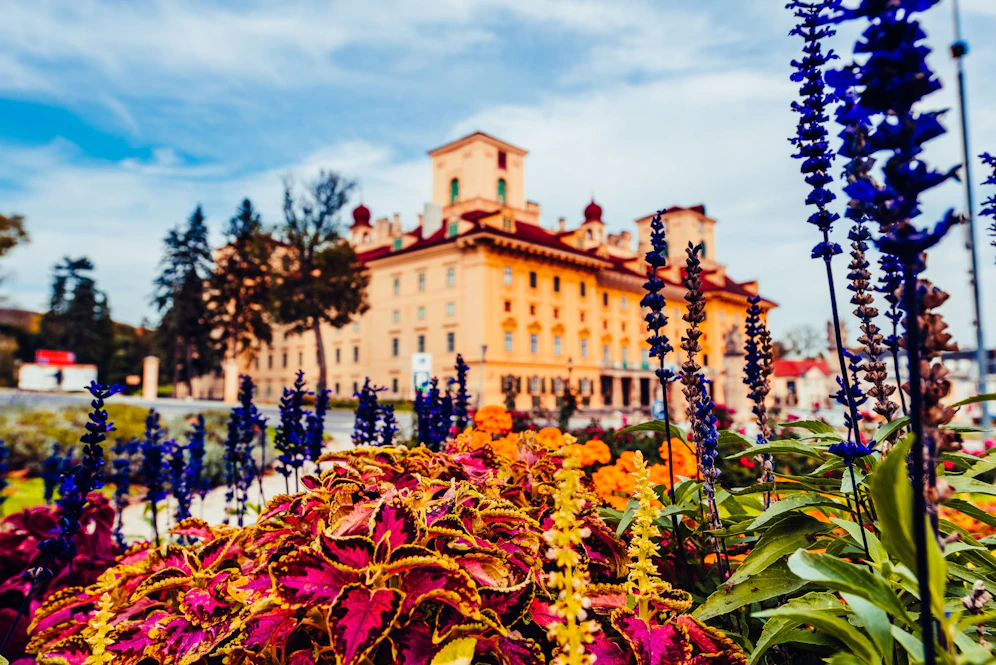Schloss Esterházy im Herbst