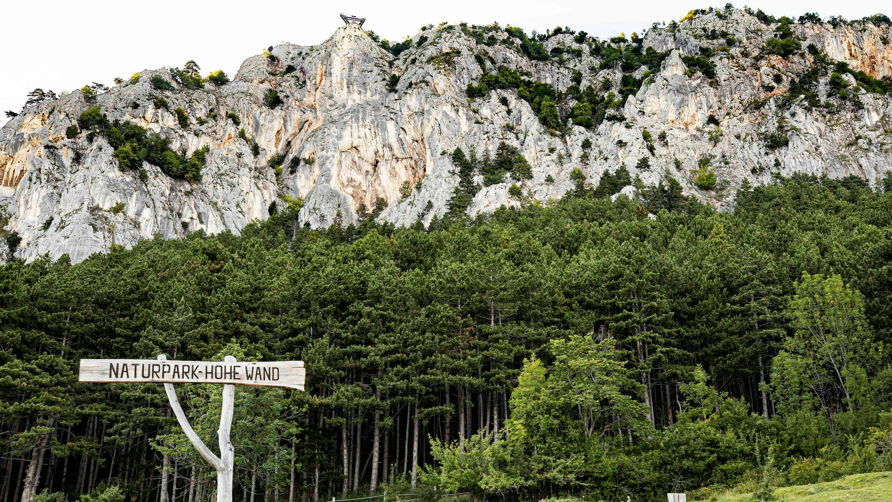 Heute.at - Drama auf Hoher Wand – Mann stürzt 50 Meter in den Tod