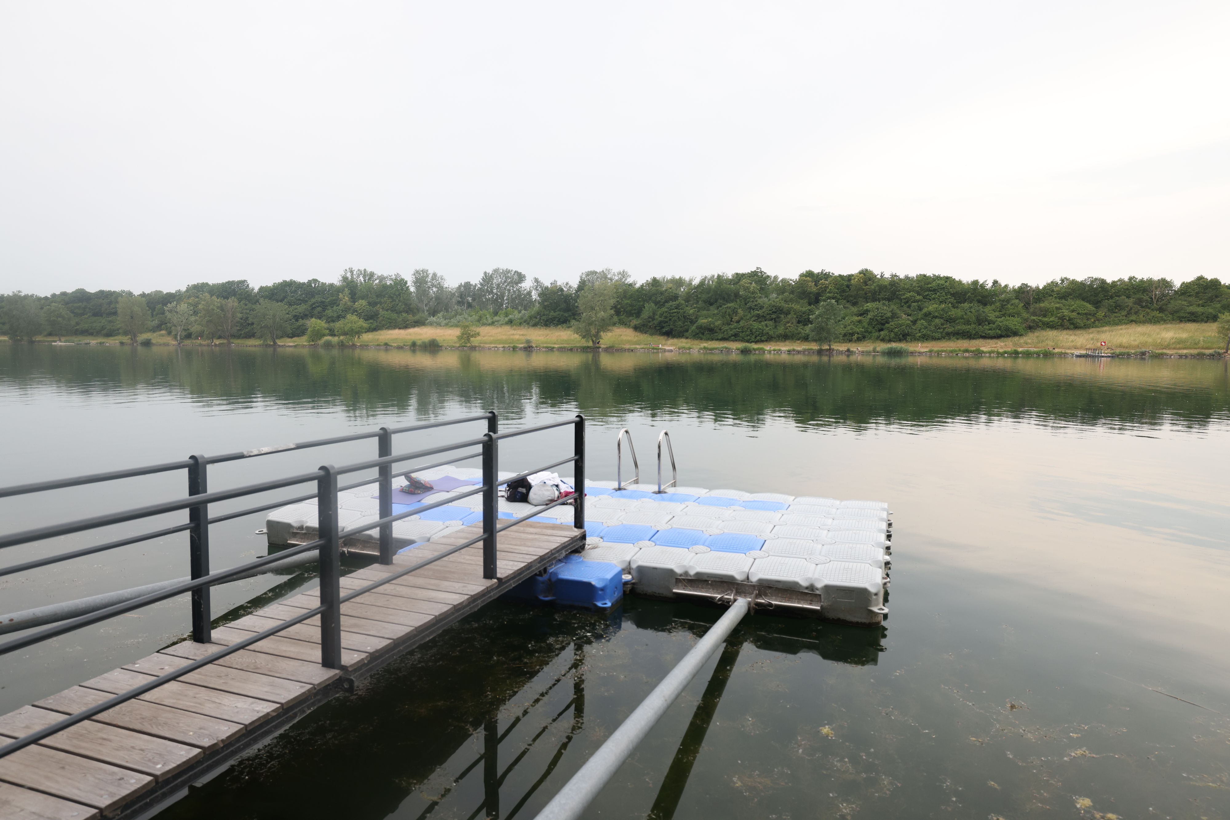 Aktuell ist das Baden in der Neuen Donau verboten .