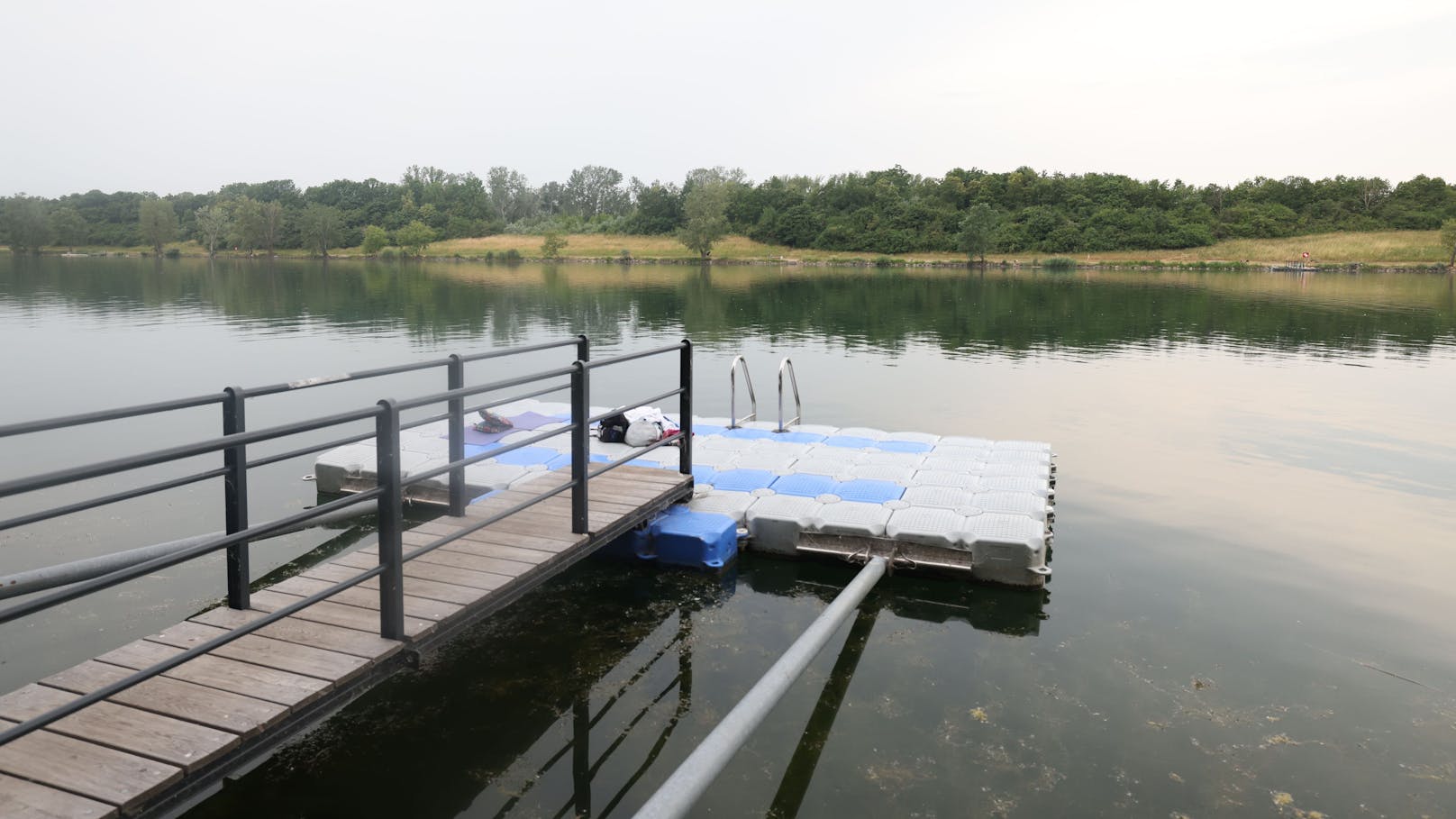 Aktuell ist das Baden in der Neuen Donau verboten .