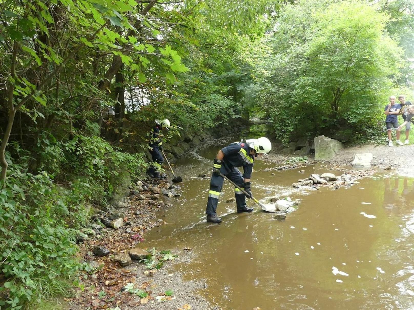 Gülle-Alarm in Maria Anzbach: Feuerwehr im Einsatz