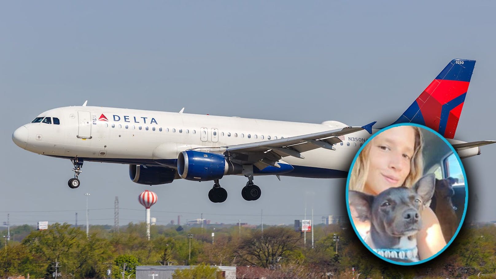 Airline verliert Hund – seit Wochen fehlt jede Spur