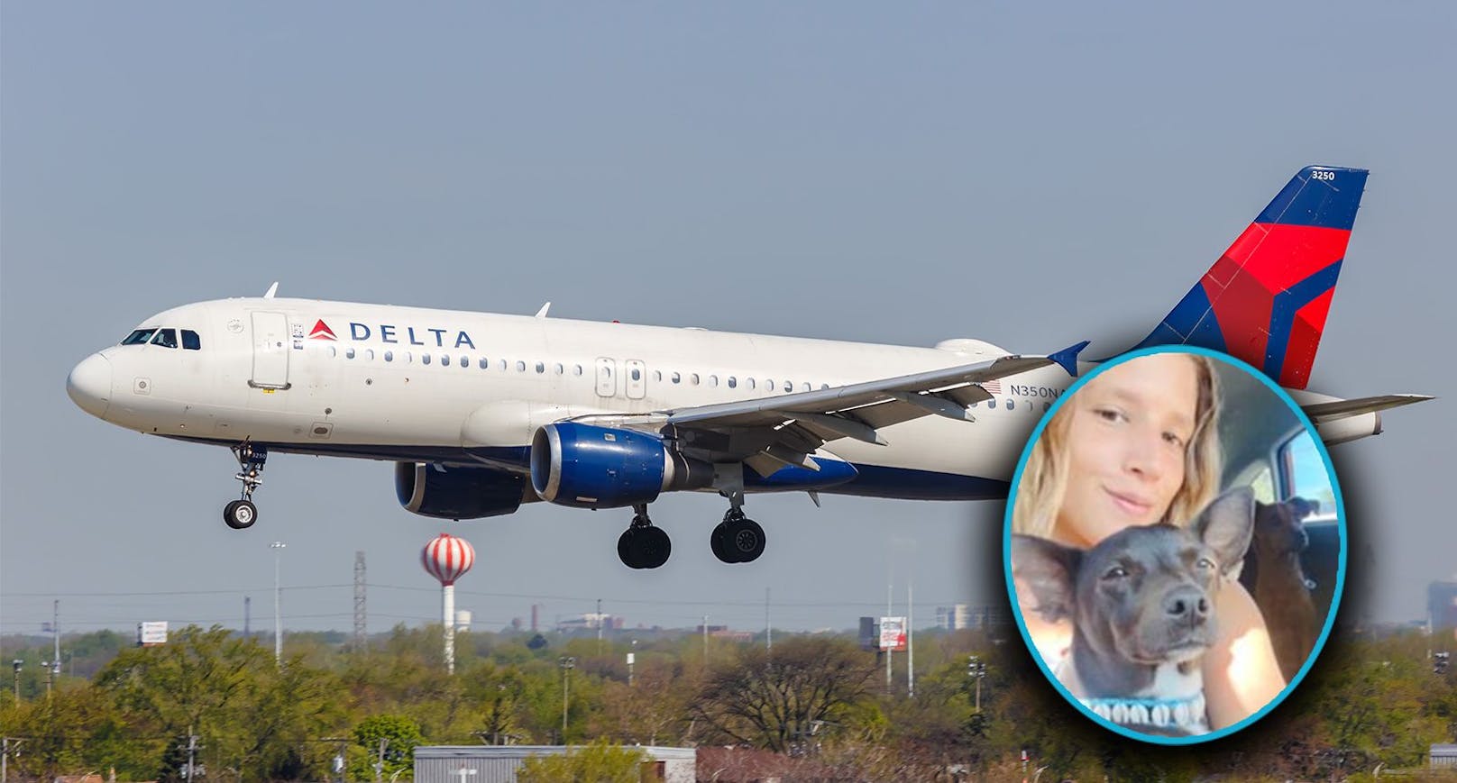 Die Delta-Airlines hat die sechsjährige Mischlingshündin "Maia" am Rollfeld verloren.