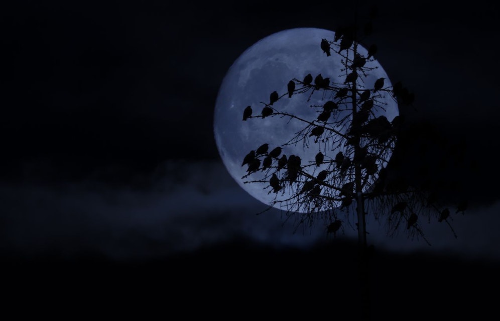 Der blaue Vollmond wird in diesem Jahr zu einem Supermond.