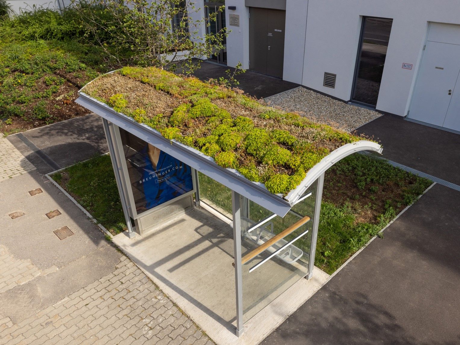 Begrünte Wartezeit: Dieses Bushäuschen setzt auf ein Pflanzendach statt Blech – es kühlt, filtert Feinstaub und ist ein echter Blickfang.