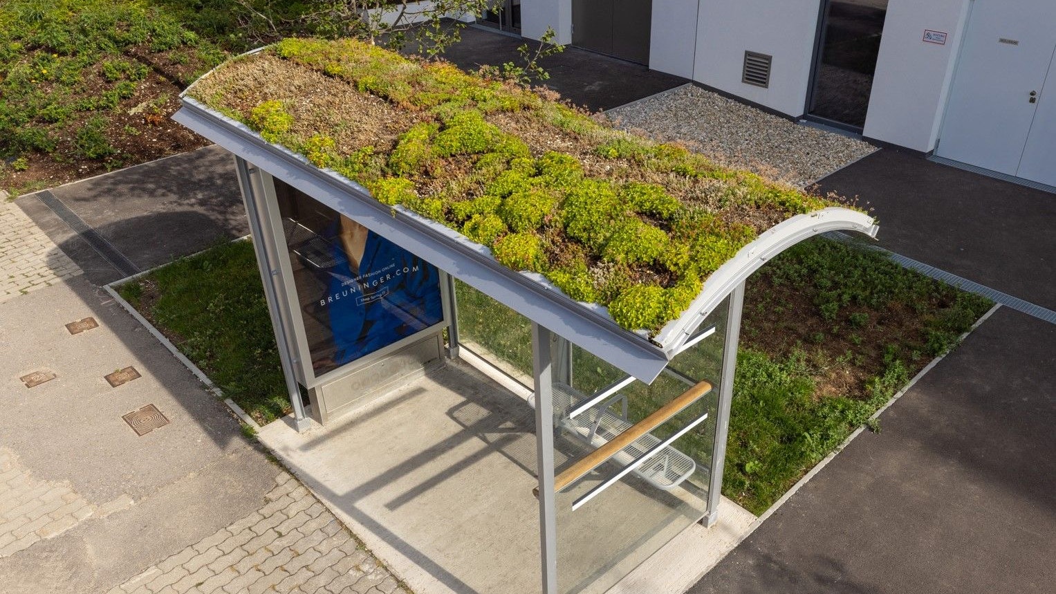 Heute.at - Weg mit Parkplätzen! Wiener wollen lieber Bäume